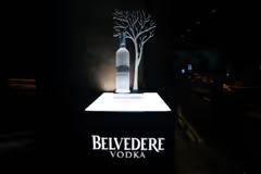 Strategi Crafting Experience Belvedere Untuk Gaet Konsumen Muda