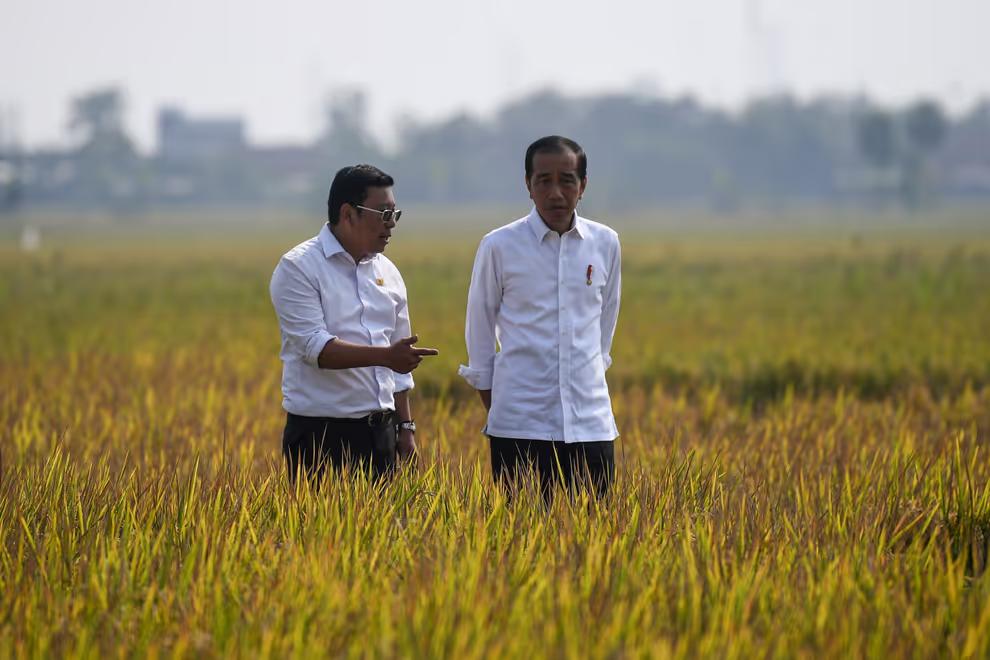 Stok Bulog Masih Kurang, Jokowi Minta Tambahan Beras 1,5 Juta ton