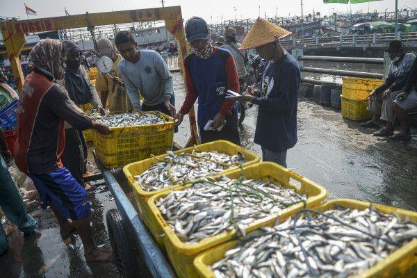 DPR Tak Dilibatkan dalam Kajian Pemberlakuan Kuota Penangkapan Ikan