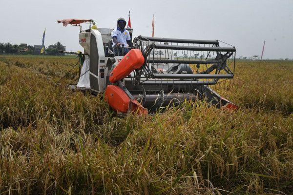 Geliat Startup Agritech Menyokong Pertanian Indonesia