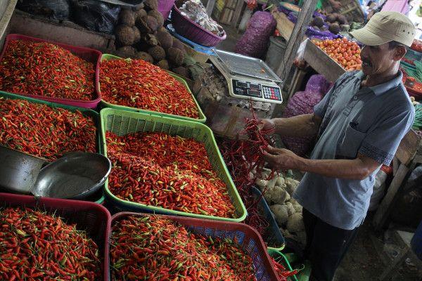 Pedagang di Pasar Mandonga, Kendari, Sulawesi Tenggara, sedang menunjukkan cabai yang harganya sedang naik, Senin (28/2).