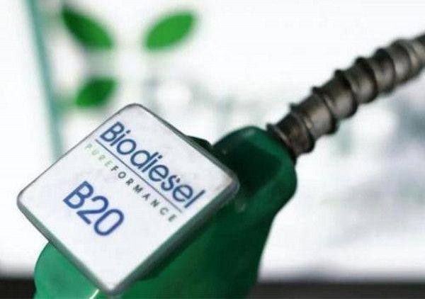 Ilustrasi Biodiesel.