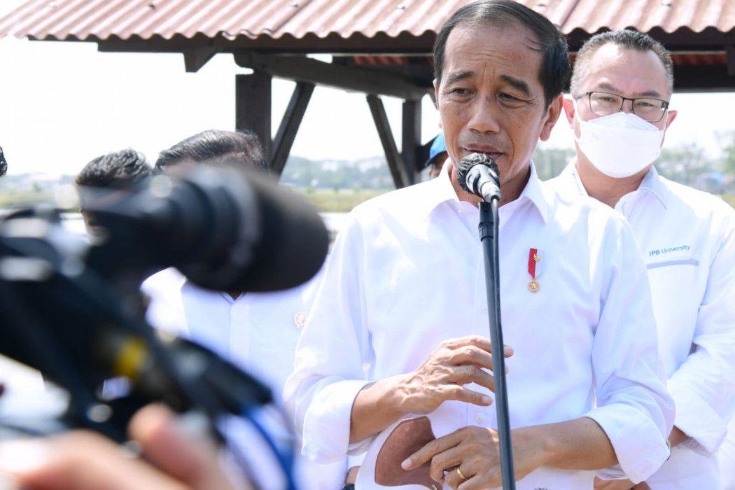 Krisis Pangan, Jokowi Minta Masyarakat Tak Bergantung Pada Beras
