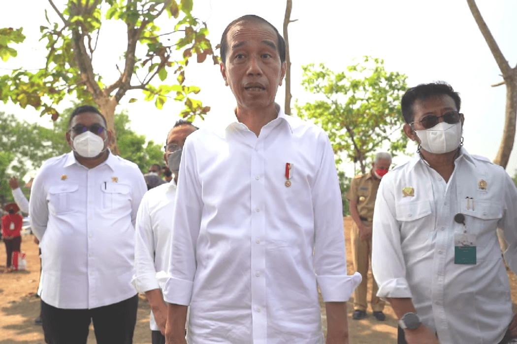 Kelaparan Ancam 800 Juta Orang, Jokowi Optimalkan Produktivitas Lahan