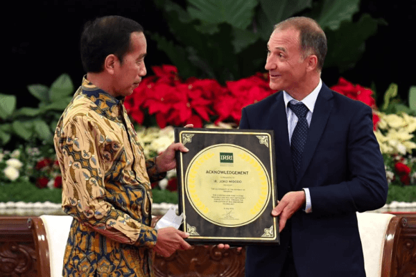 Presiden Jokowi menerima penghargaan dari Dirjen IRRI, di Istana Negara, Minggu (14/8).