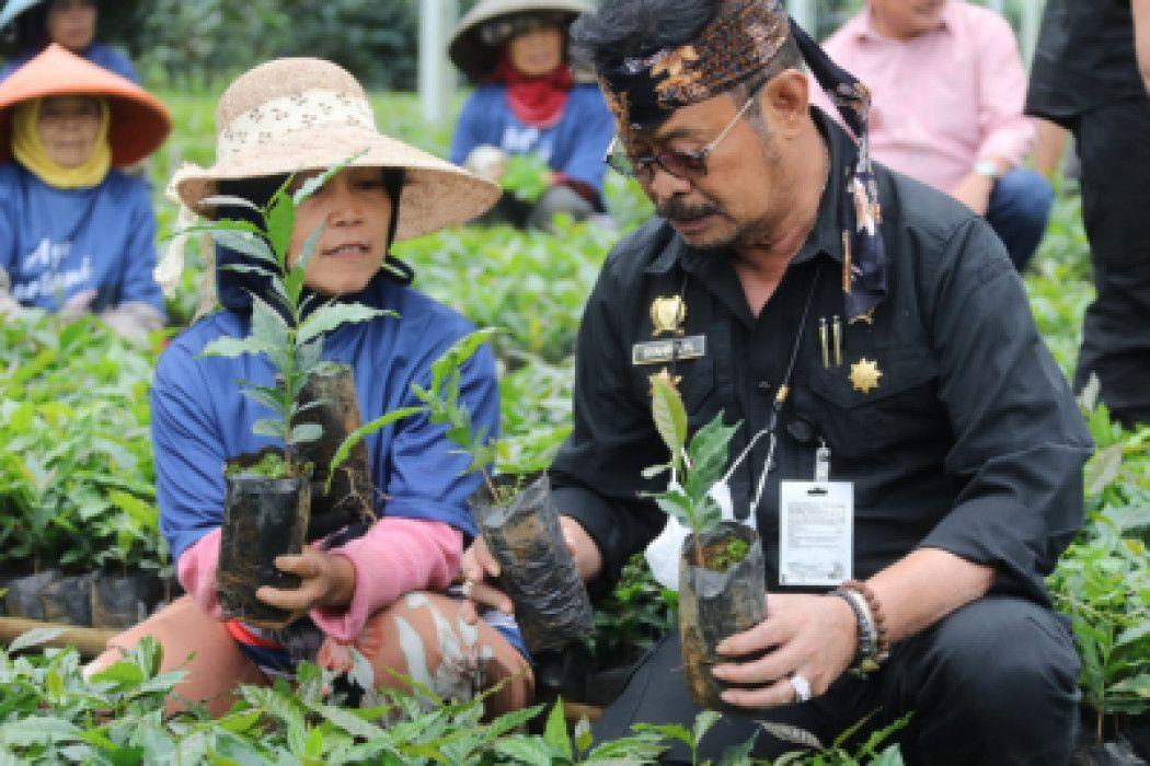 Biji Kopi Masuk Lima Besar Ekspor Perkebunan Indonesia