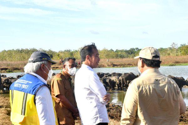 Kunjungan kerja Presiden Jokowi ke Provinsi Maluku.