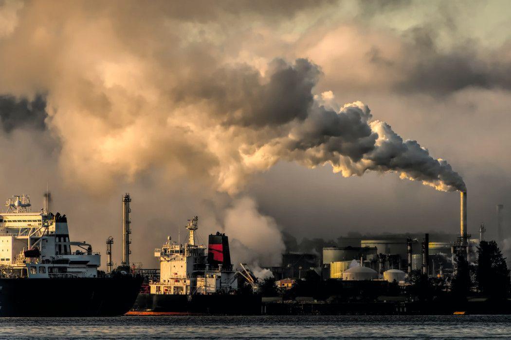 Mengenal Perdagangan Karbon: Manfaat dan Cara Kerjanya