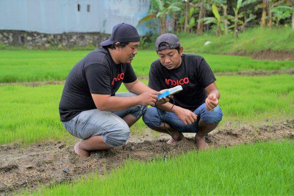 Dukung Pertanian RI, Anak Usaha Telkomsel Rambah Bisnis Agritech