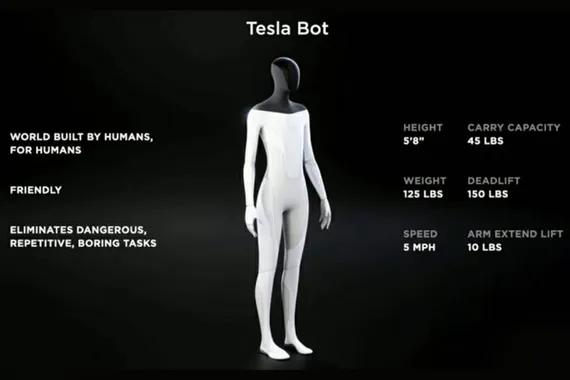 Spesifikasi Tesla Bot.
