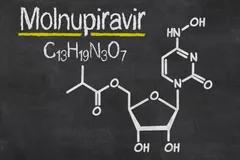Mengenal Molnupiravir, Calon Obat Covid-19 yang Sedang Dikaji