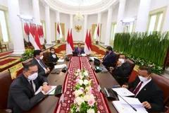 Jokowi Ungkap 3  Strategi Merealisasikan Ekonomi Hijau di WEF