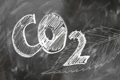 Akademisi: CCS Bukan Satu-Satunya Cara Kurangi Emisi Karbon