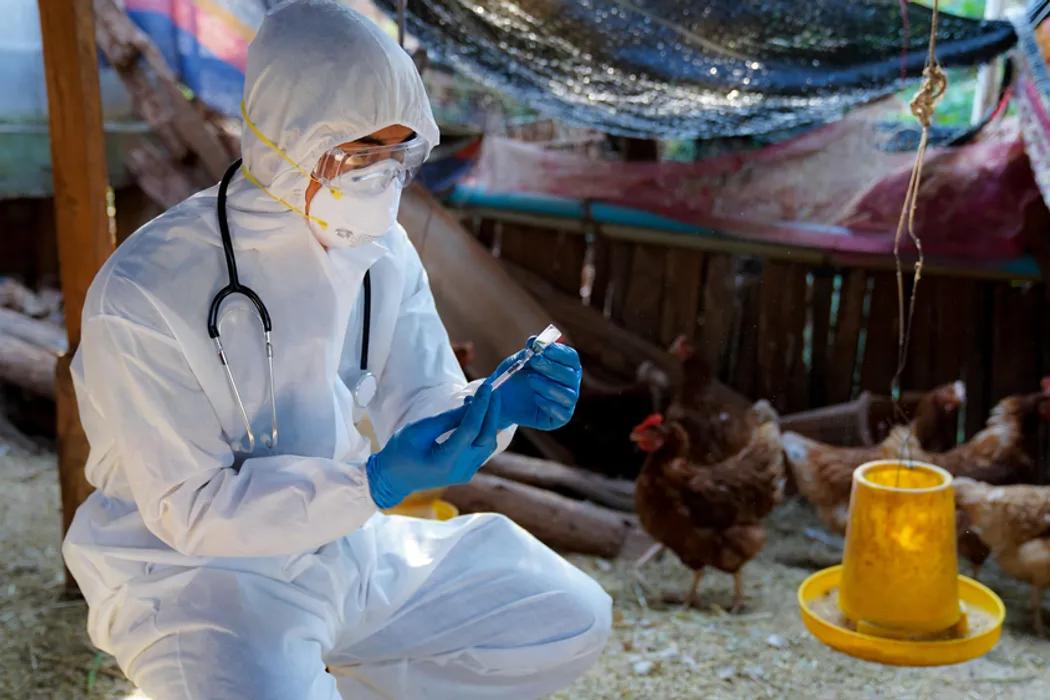 Cina Deteksi Kasus Penularan Pertama Flu Burung H3N8 pada Manusia