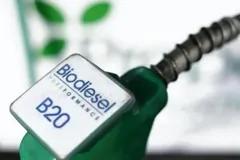 Pengamat Ungkap Kontribusi Biodiesel dalam Transisi Energi Nasional