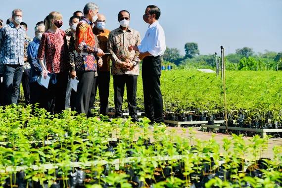 Peresmian Persemaian Rumpin, Peluncuran Rehabilitasi Mangrove, dan World Mangrove Center di Persemaian Rumpin, Kabupaten Bogor, Provinsi Jawa Barat, Jumat (10/6).