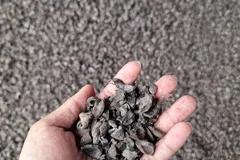 PLN Pakai Biomassa Cangkang Sawit Gantikan Batubara di PLTU Tembilahan