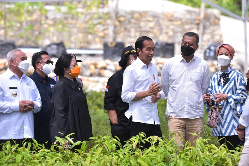 Jokowi: Pemerintah Seriusi Penataan Lingkungan dalam Pembangunan IKN