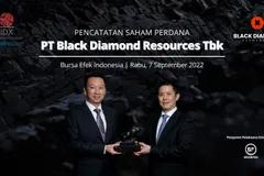 Saham Naik 158%, Intip Kinerja Keuangan Black Diamond Resources