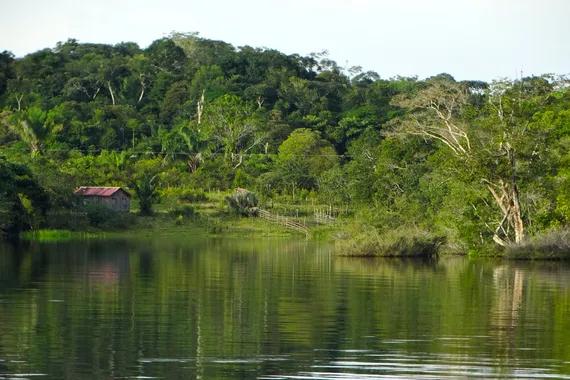 Kawasan hutan dan sungai di Brazil.