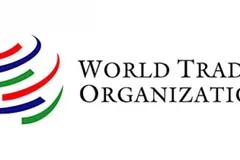 Upaya Indonesia & India Dorong Cadangan Pangan di WTO Alami Kebuntuan