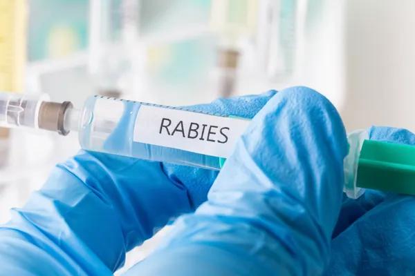 Marak Virus Rabies, Apakah Bisa Dicover Asuransi?