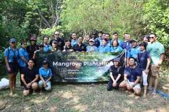 Ascott Indonesia Lestarikan Hutan Bakau di Hari Mangrove Sedunia