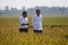 Jokowi Buka Opsi Perpanjang Bantuan Pangan Beras, Ini Syaratnya