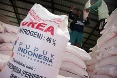 Jokowi Beri Alasan Pabrik Pupuk Senilai Rp30 Triliun Dibangun di Papua