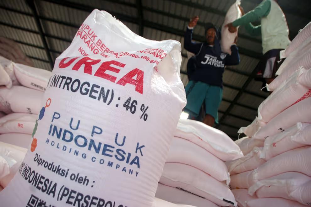 Jokowi Beri Alasan Pabrik Pupuk Senilai Rp30 Triliun Dibangun di Papua