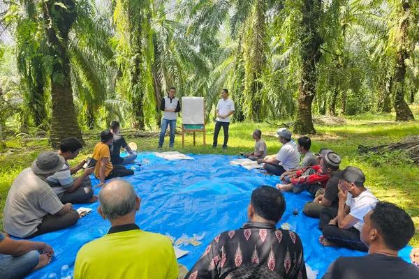 Program Sawit Terampil: Ruang Berkembang Petani Sawit Swadaya