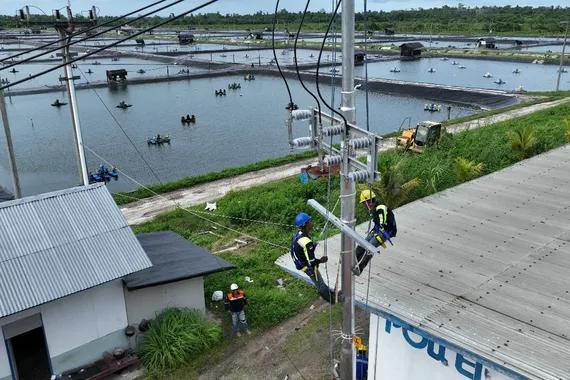 Perusahaan tambak udang Maluku berhasil efisiensi Rp123 juta lebih per hari (Dok. PLN)